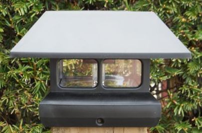 buy Black Solar LED Light 4